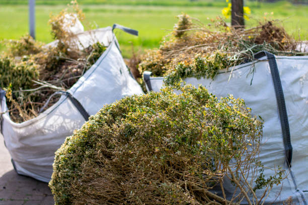 Best Shed Removal  in Winfield, TN