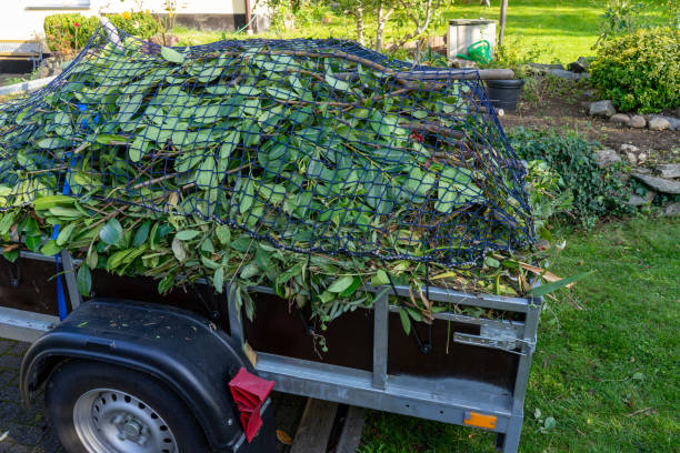 Best Carpet Removal and Disposal  in Winfield, TN